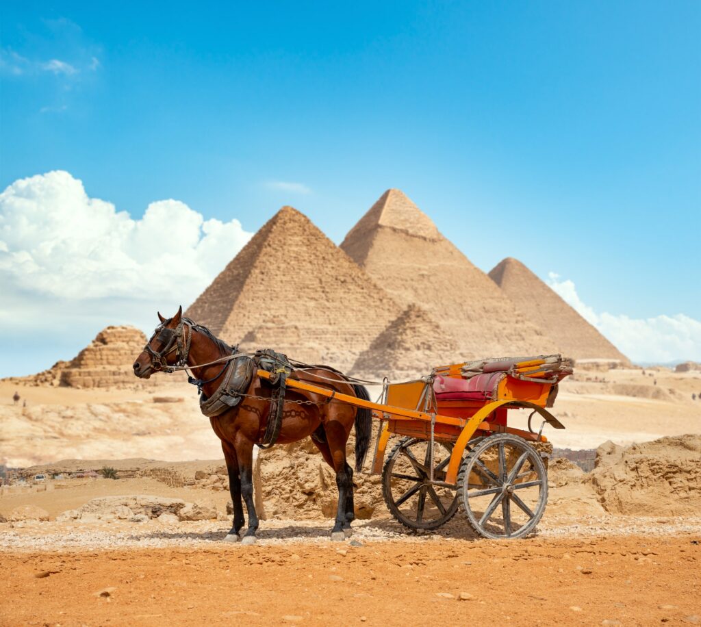 Red Sea Reisen