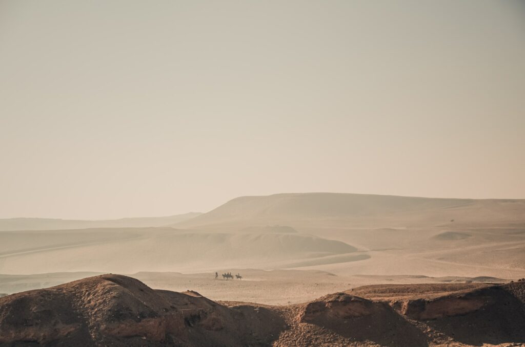 Red Sea Reisen