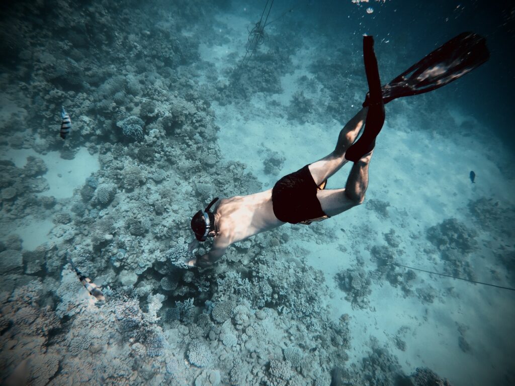 Red Sea Reisen