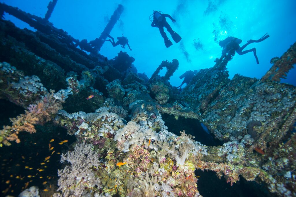 Red Sea Reisen
