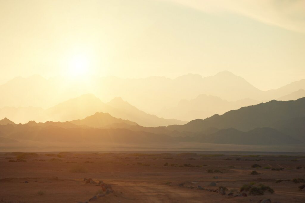 Red Sea Reisen