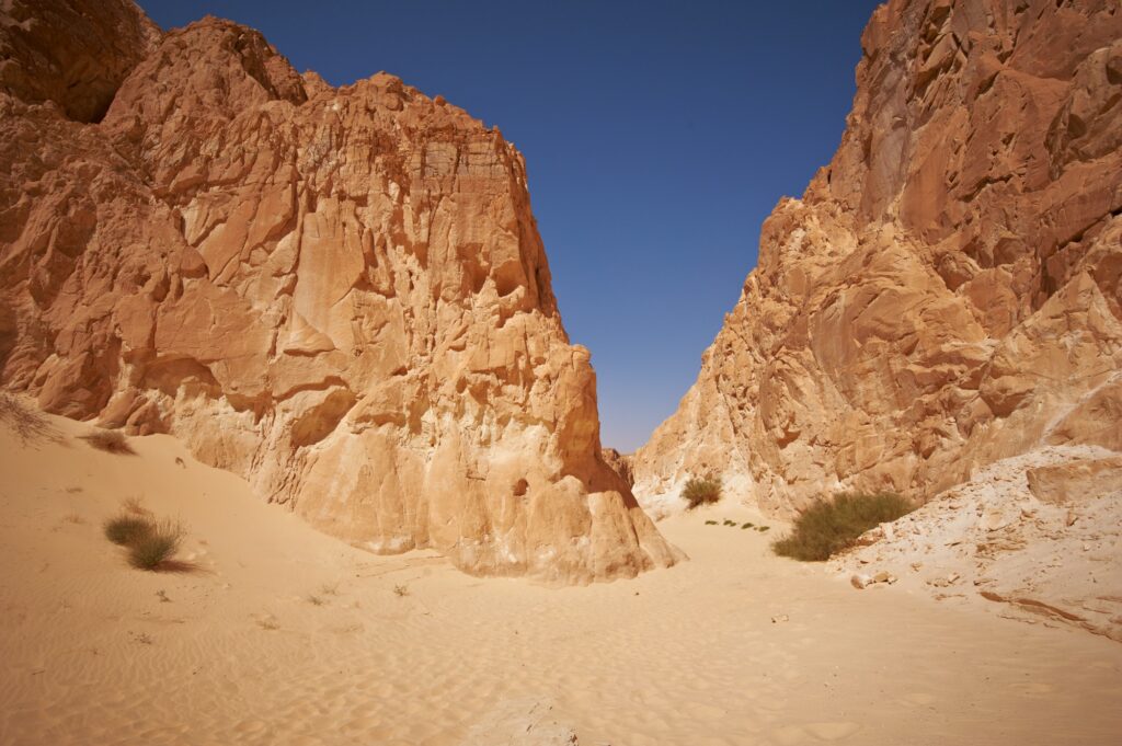 Red Sea Reisen